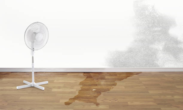Best Water damage restoration near me  in Penndel, PA