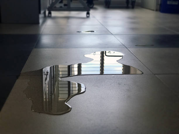 Best Local water damage restoration  in Penndel, PA