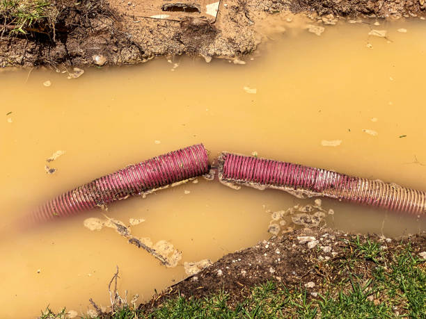 Best Water damage restoration cost  in Penndel, PA